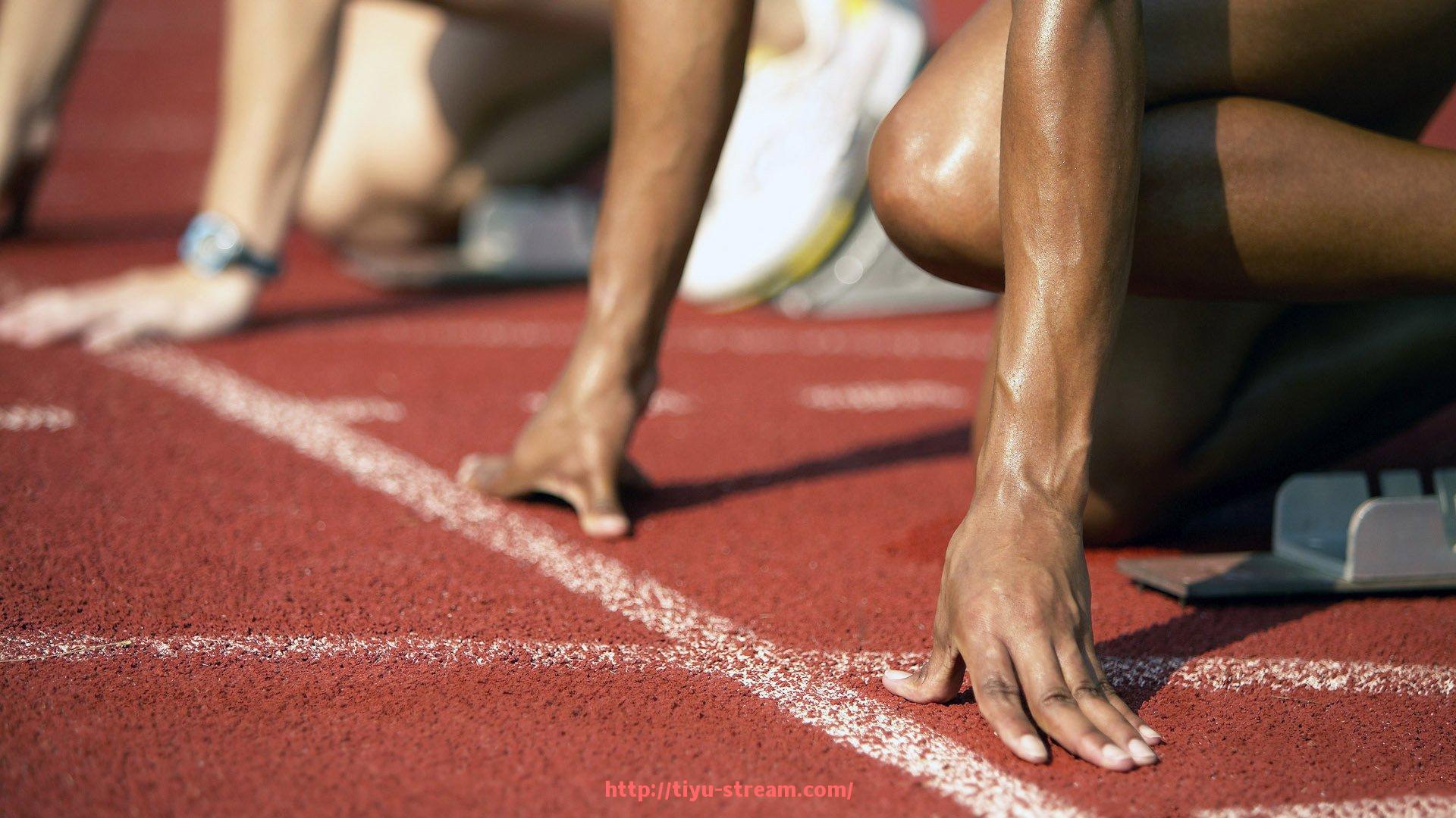 体育直播-世俱杯观赛礼仪规范及赛事文明观赛推广