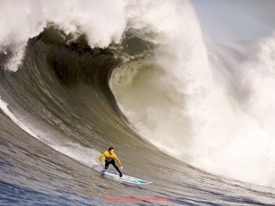 体育直播-盘点那些曾在英超效力的阿森纳旧将球员名单