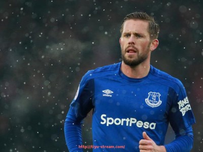 体育直播-世俱杯赛场交通疏导实况，组织效率保障顺畅观赛