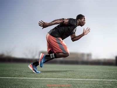 体育直播-世俱杯赛事场地维护计划实施路径与责任划分